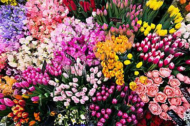 体验极限速度！你所需要知道的那些《F1®2021》知识