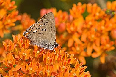 3D动作RPG《东京复仇者》宣布延期至2024年2月